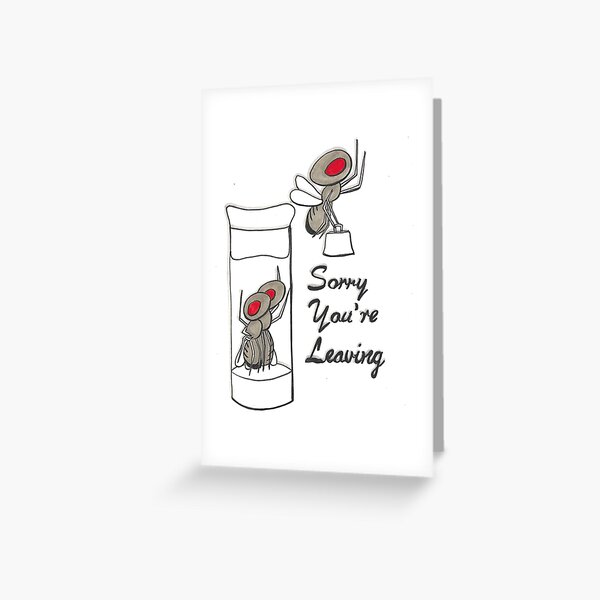 Item preview, Sorry your leaving fruit fly card designed and sold by DaniEdmunds.