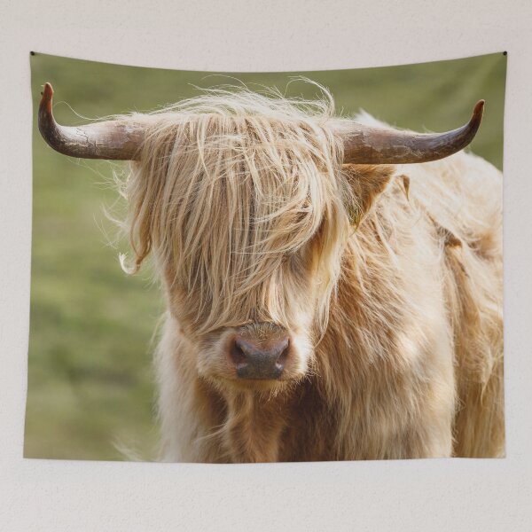 Item preview, Scottish Highland Cow designed and sold by rhintl.