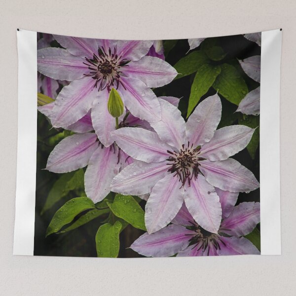 Item preview, Spring Clematis designed and sold by Adam Bykowski.