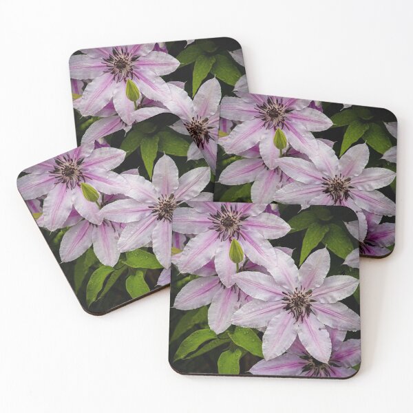 Item preview, Spring Clematis designed and sold by Adam Bykowski.