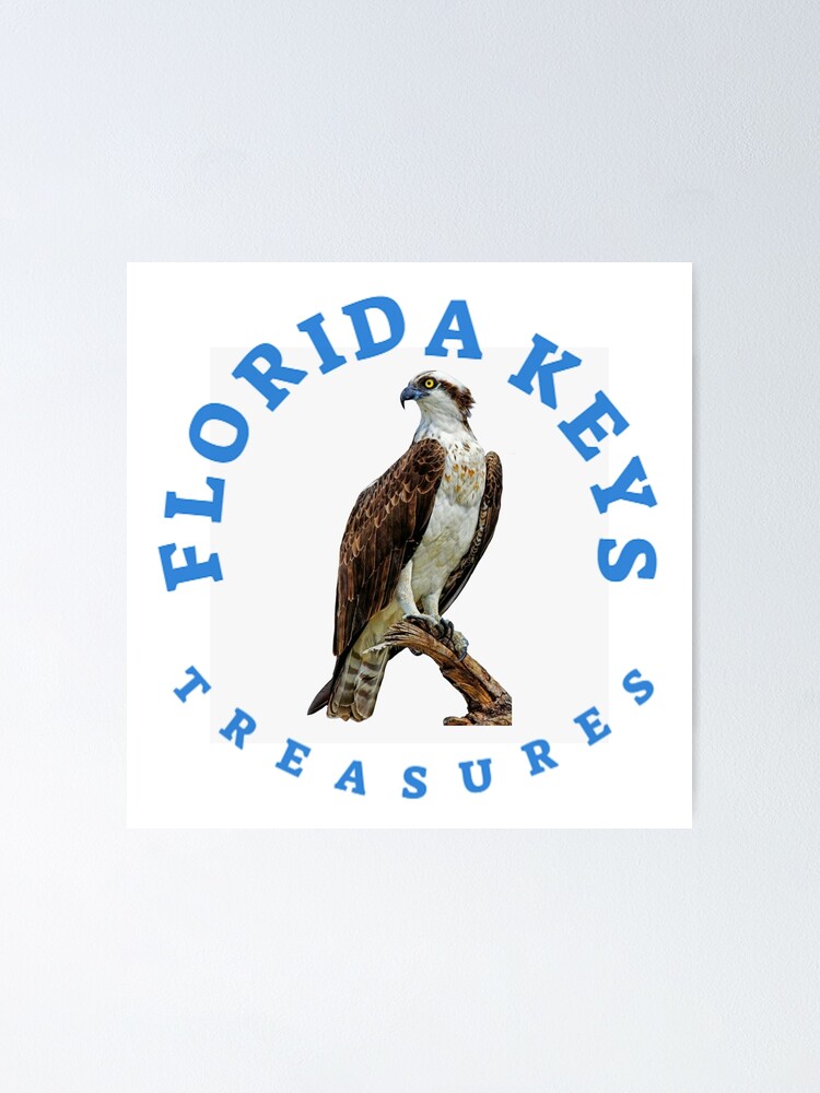 Osprey Fish Hawk Florida Keys Treasures Poster for Sale by KeysTreasures