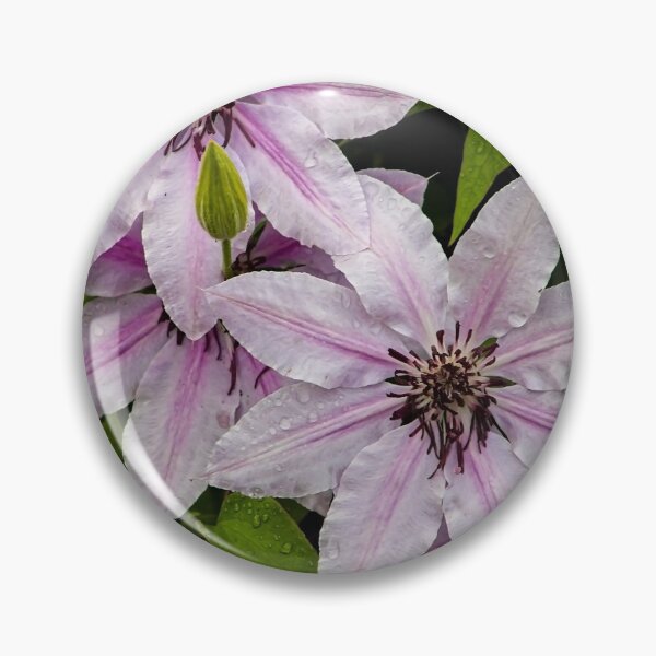 Item preview, Spring Clematis designed and sold by Adam Bykowski.