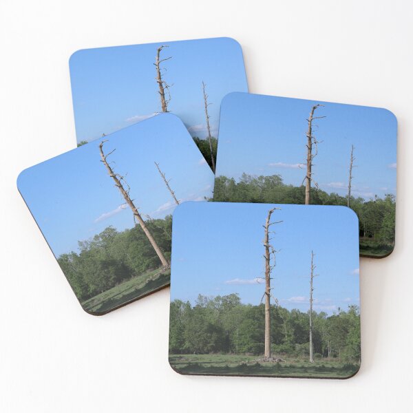 Item preview, Stripped Trees designed and sold by baykermade.