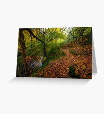 Roslin glen into the autumnal mist Greeting Card