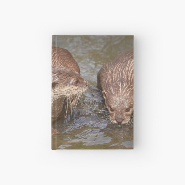 Otters Wet Your Whiskers Hardcover Journal