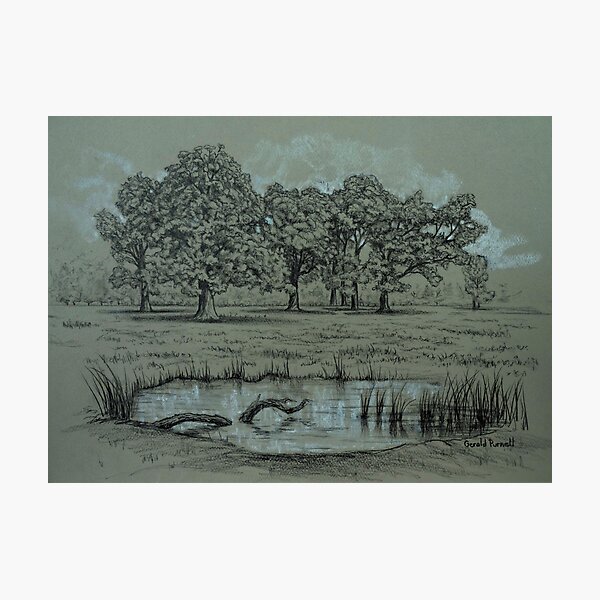 Item preview, Landscape 1 designed and sold by Gerald Purnell.