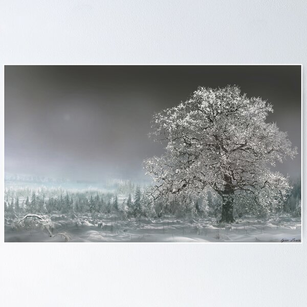 Sacred Tree Poster