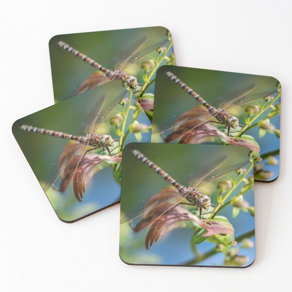 Item preview, Dragonfly in my Backyard  designed and sold by fixtape.