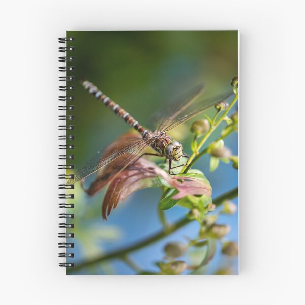 Item preview, Dragonfly in my Backyard  designed and sold by fixtape.