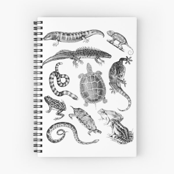 Item preview, Collage de reptiles y anfibios designed and sold by paperfig.