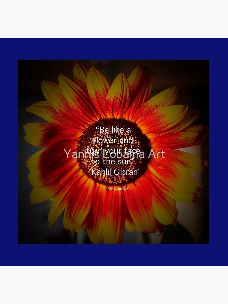 Be a sunflower By Yannis Lobaina by lobaina1979