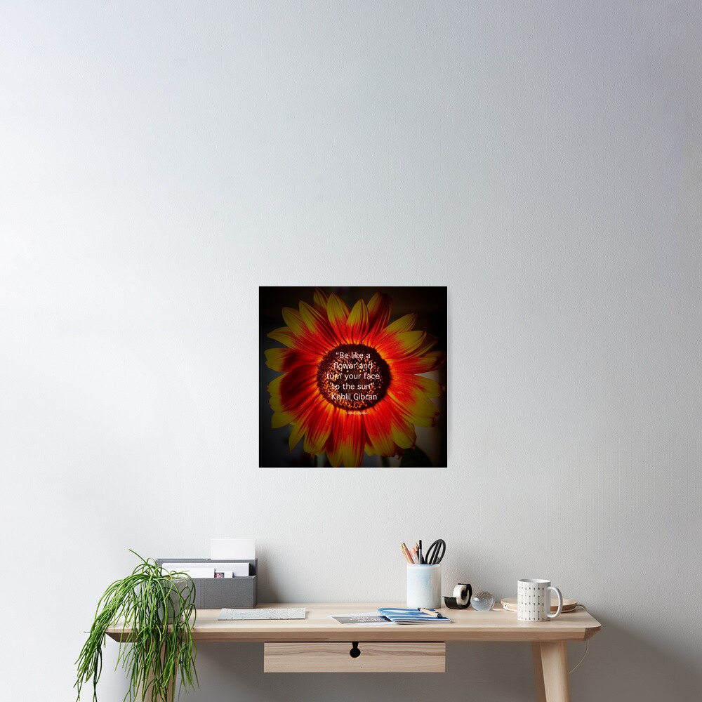 Be a sunflower By Yannis Lobaina Poster