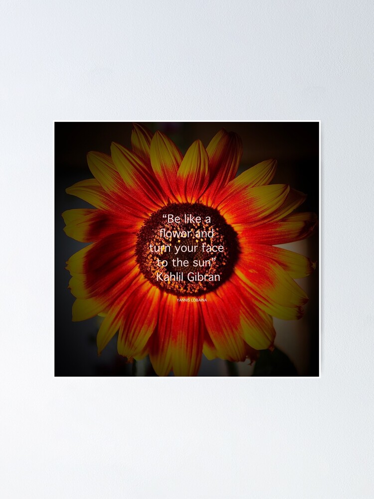 Alternate view of Be a sunflower By Yannis Lobaina Poster