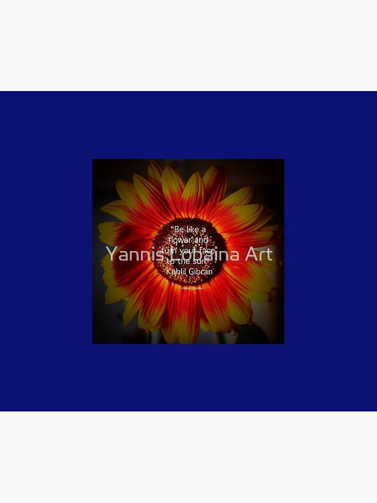 Be a sunflower By Yannis Lobaina by lobaina1979