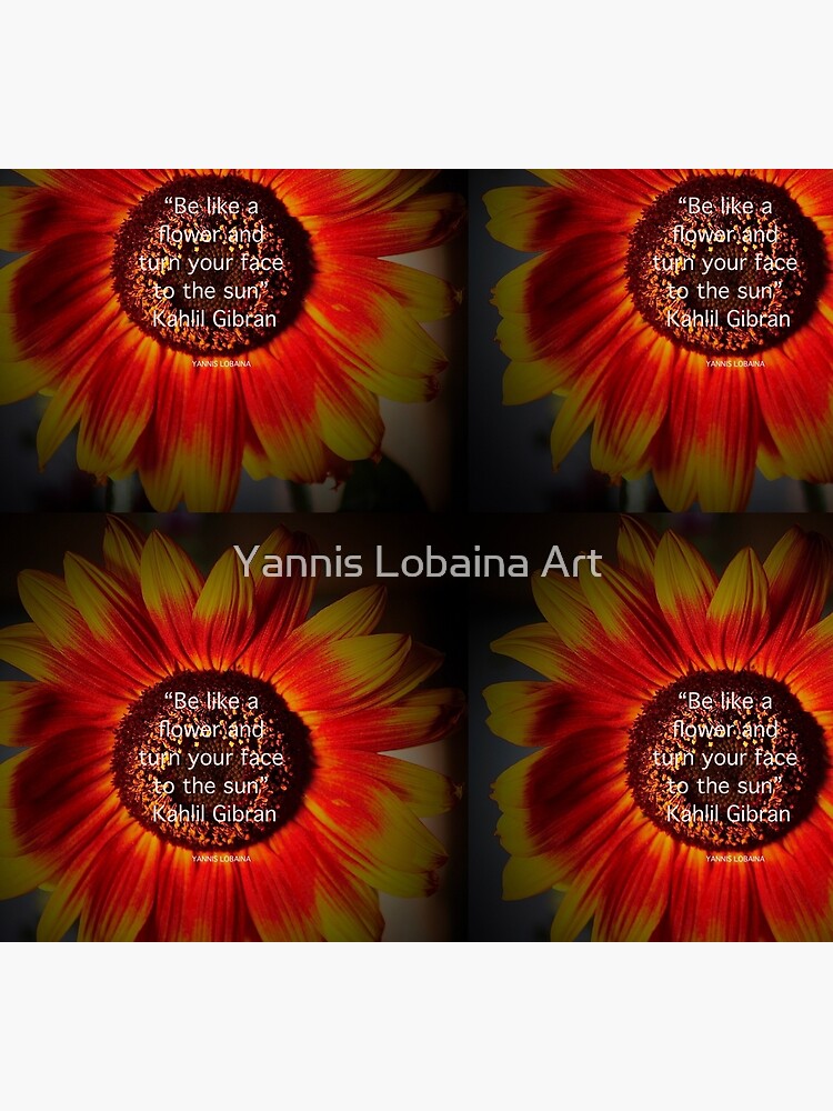 Be a sunflower By Yannis Lobaina by lobaina1979