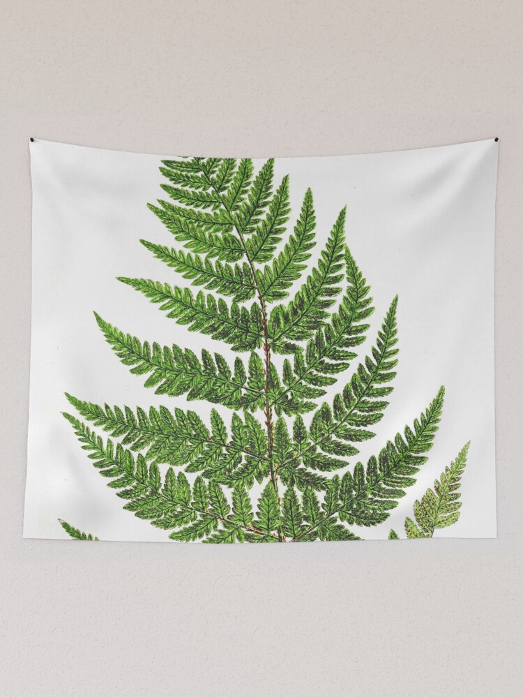 Fern tapestry 2025