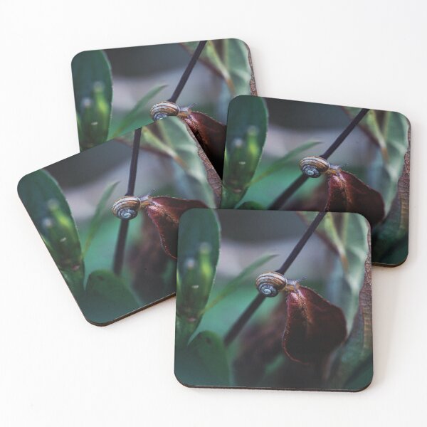 Item preview, The Secret World of Snails  designed and sold by fixtape.