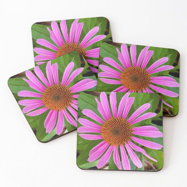 Item preview, Pink Cone Flower Beauty designed and sold by Angela Rowland.
