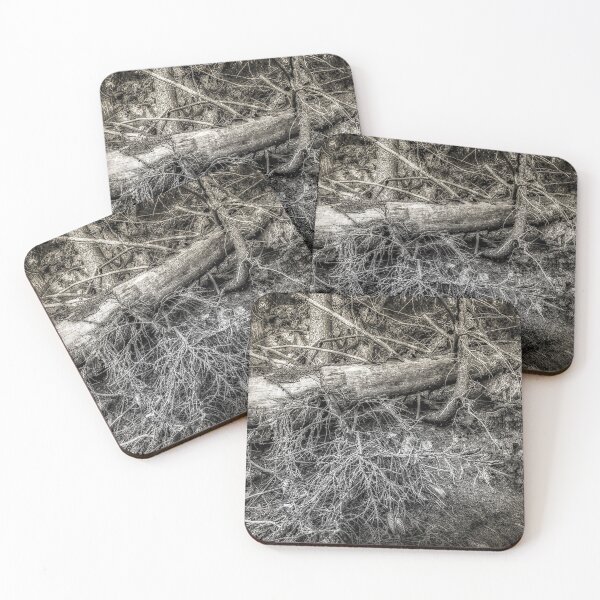 Item preview, Norwegian forest 1. Black & White. designed and sold by Scandinavian.