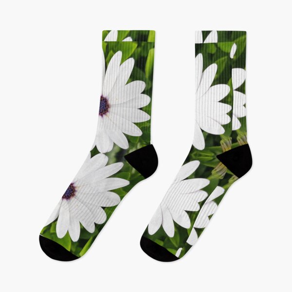 Item preview, Four daisies designed and sold by rich-jam.