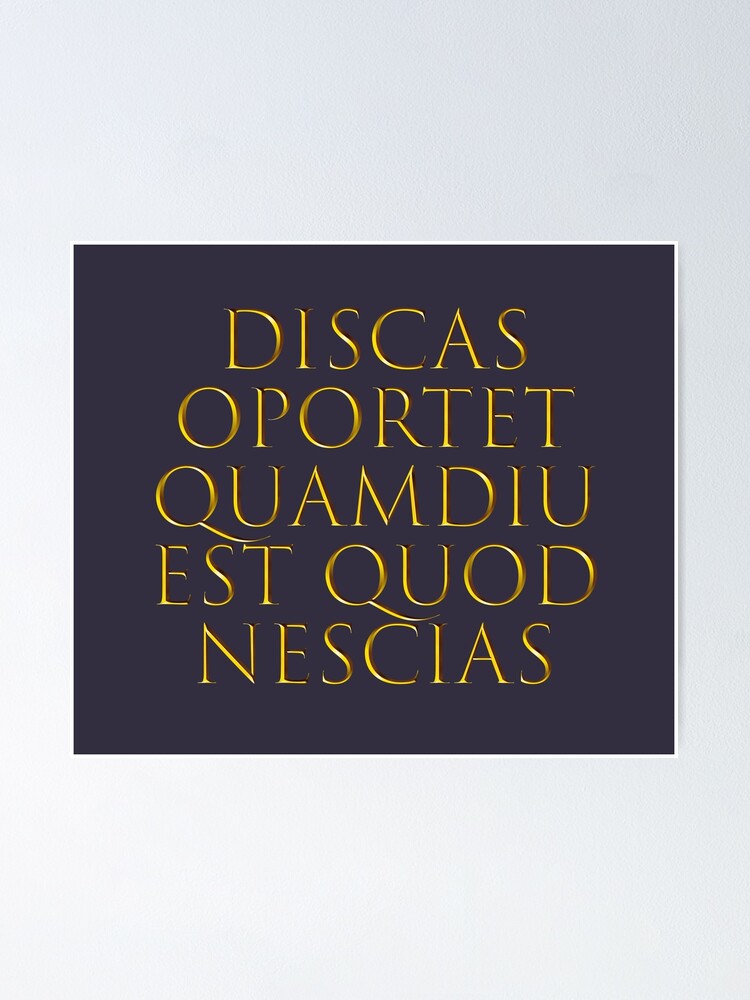 Poster Citation Latine Sur La Duree De L Apprentissage Par Nabukodonosor Redbubble