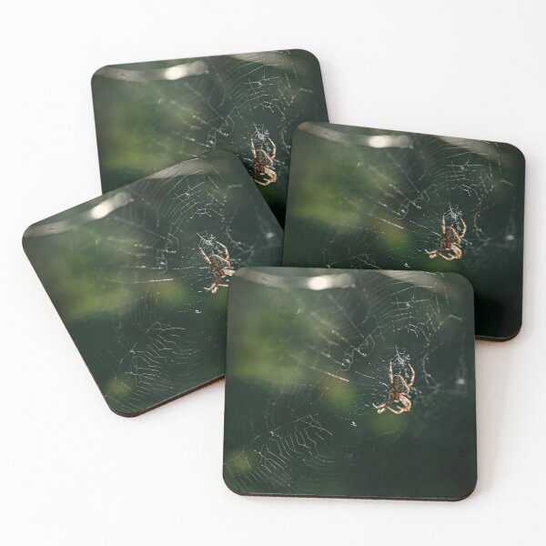 Item preview, Spiders are Cool designed and sold by fixtape.
