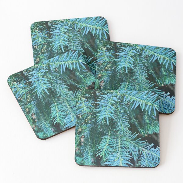 Item preview, Pine tree photography  designed and sold by Amy-elise.