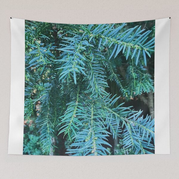 Item preview, Pine tree photography  designed and sold by Amy-elise.