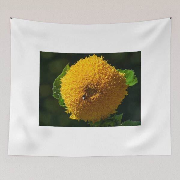 Item preview, The Teddy Bear Sunflower 11 designed and sold by Jouko Lehto Photography.