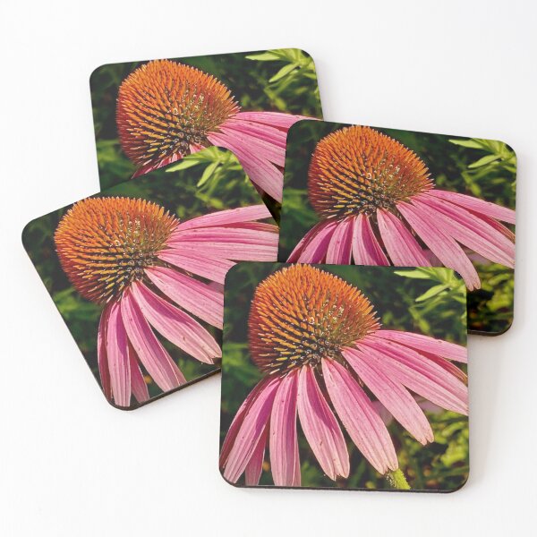 Item preview, Pink Cone Flower Perspective designed and sold by Angela Rowland.