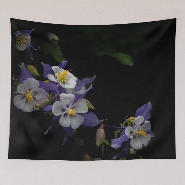 Item preview, Columbine in the Corner designed and sold by Adam Bykowski.