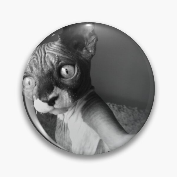 Item preview, Sphynx Pose - Hairless Cat designed and sold by SMilllar.
