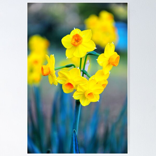 Item preview, Floral Art designed and sold by Olivelle.