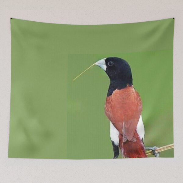 Item preview, Guru sir bird designed and sold by Moni3572.