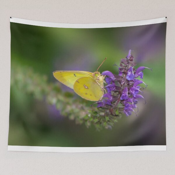 Item preview, Salvia Wearing a Sulphur designed and sold by Adam Bykowski.