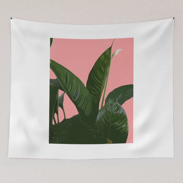 Item preview, Peace Lily (Spathiphyllum) - Coral designed and sold by gallantgiraffe.