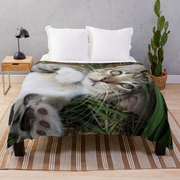 Item preview, Kitten, Cute Barn Kitty Finn designed and sold by f2error.