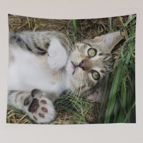 Item preview, Kitten, Cute Barn Kitty Finn designed and sold by f2error.
