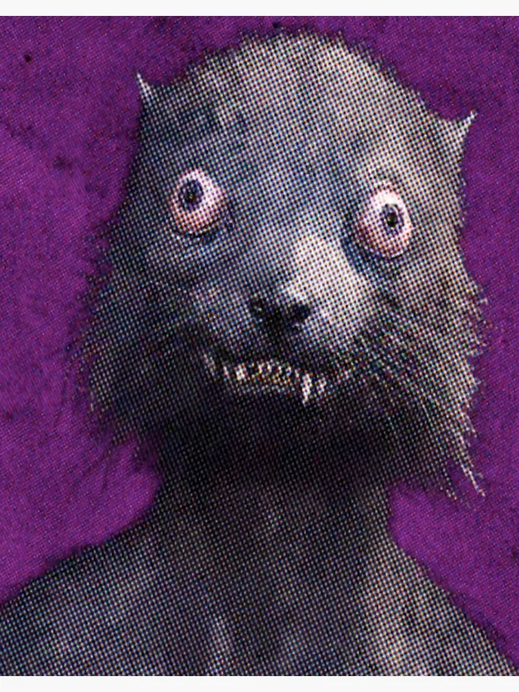 Weasel