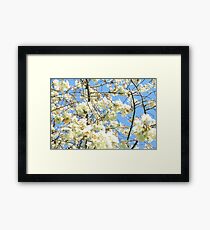 Blossoms Framed Print