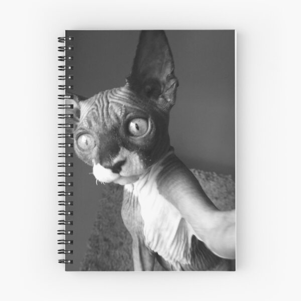 Item preview, Sphynx Pose - Hairless Cat designed and sold by SMilllar.