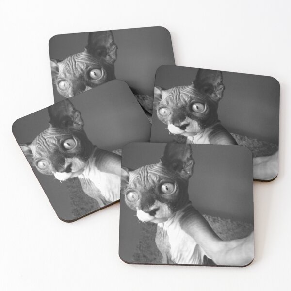 Item preview, Sphynx Pose - Hairless Cat designed and sold by SMilllar.