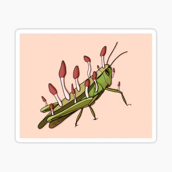 Mushroom Grasshopper Sticker