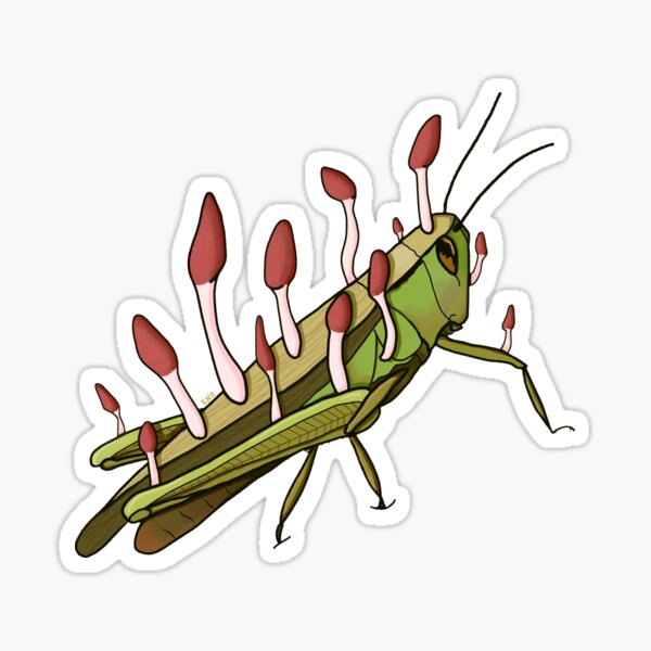 Mushroom Grasshopper Sticker