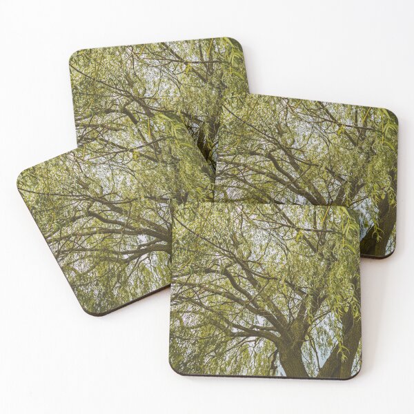 Item preview, Where's the forest? designed and sold by ChrispyStudios.