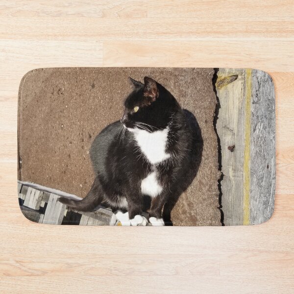 Item preview, Barn Cat on Pallets designed and sold by f2error.