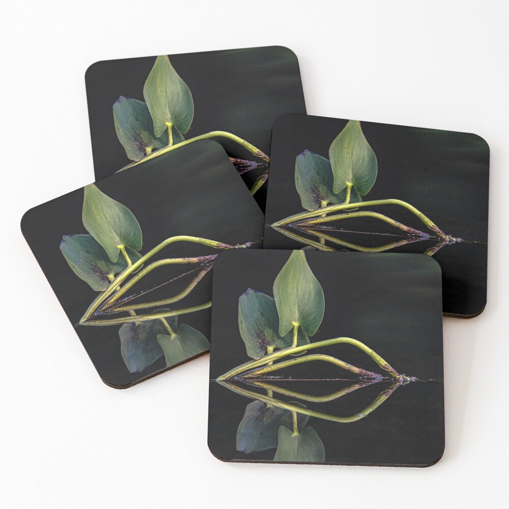 Item preview, Coasters (Set of 4) designed and sold by jayde.