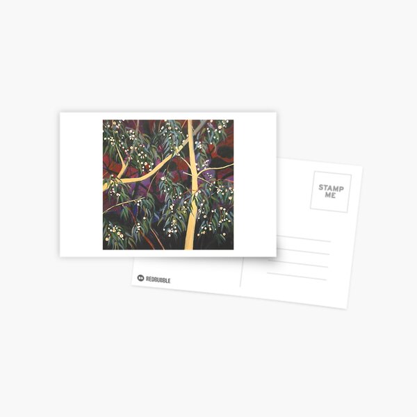 Dream White Gum Flowers At Night Postcard