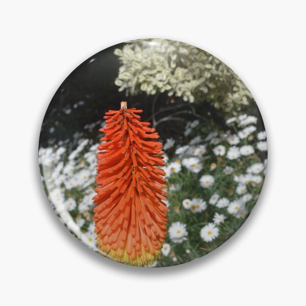 Item preview, The Brilliance of One designed and sold by Walter Sonny Manser.