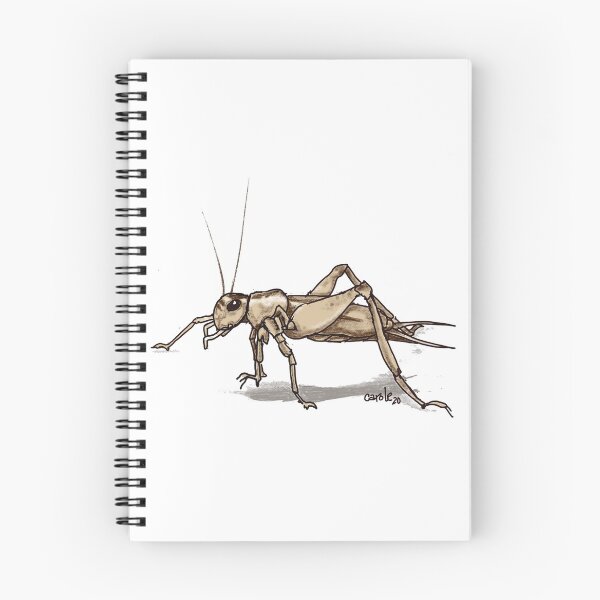 Item preview, Cricket designed and sold by CaroleLynne.